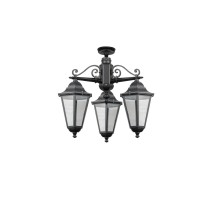 Потолочный светильник уличный PETERSBURG ECONOM 79870EA/3 Bl Oasis Light