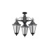 Потолочный светильник уличный PETERSBURG ECONOM 79870EA/3 Bl Oasis Light
