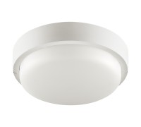 Настенно-потолочный светильник  LCL04-12W-R01-4K Wolta
