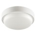 Настенно-потолочный светильник  LCL04-12W-R01-4K Wolta