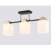 Потолочная люстра TRADITIONAL TR303046 Ambrella