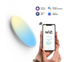 Настенно-потолочный светильник SmartHome 2060112 Gauss