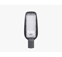 Прожектор уличный RX2 005522 LEDS Power