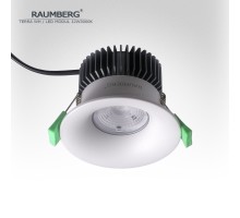 Точечный светильник Terra Terra\Wh\12W3000K Raumberg
