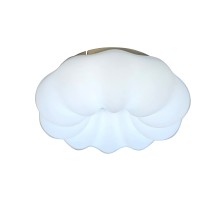 Потолочный светильник Soft ZRS.1118.2 Zortes
