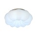Потолочный светильник Soft ZRS.1118.2 Zortes