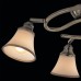 Потолочная люстра Прованс CL511143 Citilux