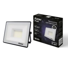 Прожектор уличный PROFI 53416 1 Ritter