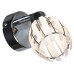Спот Nelson LSP-0099 Lussole LGO