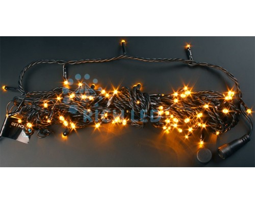 Гирлянда  RL-S10C-24V-B/Y Rich LED