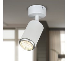 Спот OL55 WH/SL OL55 WH/SL ЭРА
