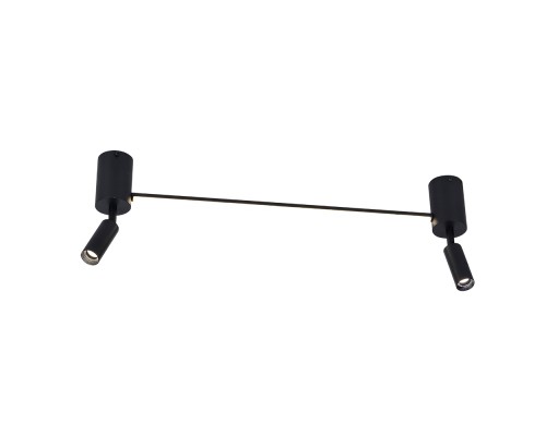 Спот Rasalas A2219PL-2BK Arte Lamp