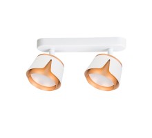 Спот Amaks A8028PL-2WH Arte Lamp