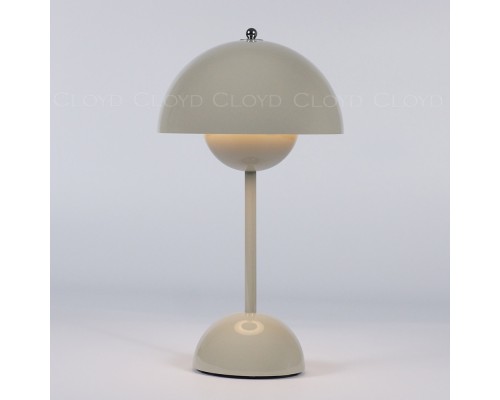 Интерьерная настольная лампа Erma 30133 Cloyd