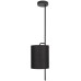 Потолочная люстра Ritz 10253P Black Loft It