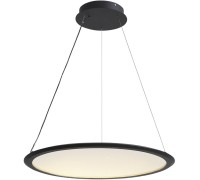 Подвесной светильник Belgin LH8030/1PS-SBK Lumien Hall