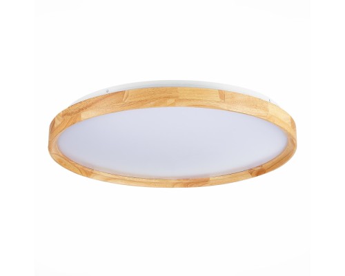 Потолочный светильник Delia SLE201382-01 Evoluce