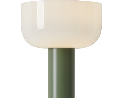 Интерьерная настольная лампа Barries FR6185TL-L5GN Freya