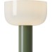 Интерьерная настольная лампа Barries FR6185TL-L5GN Freya
