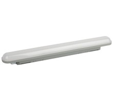 Настенно-потолочный светильник SPP-2 SPP-211-0-65K-036 ЭРА