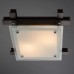 Потолочный светильник Archimede A6462PL-2CK Arte Lamp