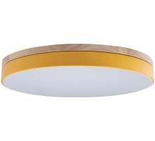 Потолочный светильник Axel 10001/36 Yellow Loft It