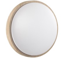 Настенно-потолочный светильник Losta 7607/AL Sonex