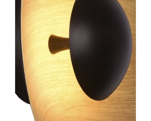 Настенный светильник Arta 8007/1WS-WD Lumien Hall
