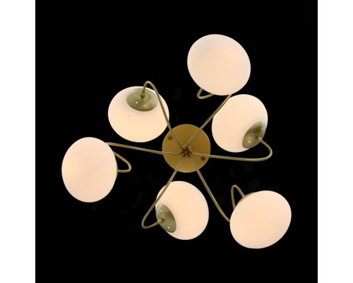 Потолочная люстра Acini SL717.202.06 ST Luce