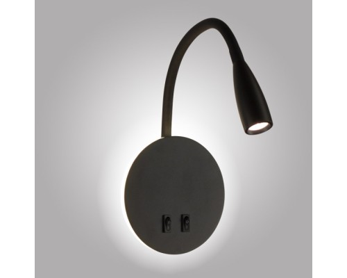 Спот  AM484 BK AM Group