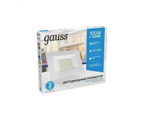 Прожектор уличный  613120300 Gauss