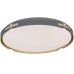 Потолочный светильник Paneli LDC 8063-48W BL Lumina Deco
