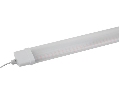 Светильник для растений  FITO-36W-RB-N ЭРА