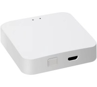 Шлюз Vision48/22 ZGB 1 iLedex