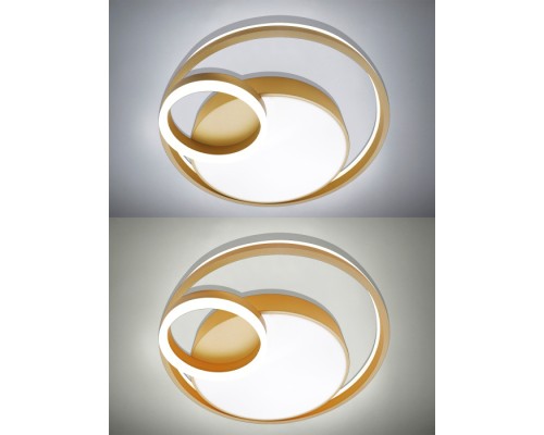 Потолочная люстра LED LAMPS LED LAMPS 81305 Natali Kovaltseva