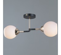 Потолочная люстра  IL0689-2CSQ-24 BK FGD LIBRA ILLUMICO