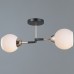 Потолочная люстра  IL0689-2CSQ-24 BK FGD LIBRA ILLUMICO