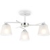 Потолочная люстра TRADITIONAL TR303202 Ambrella