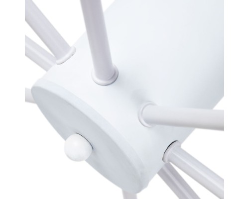 Потолочная люстра Alastor A6702PL-8WH Arte Lamp