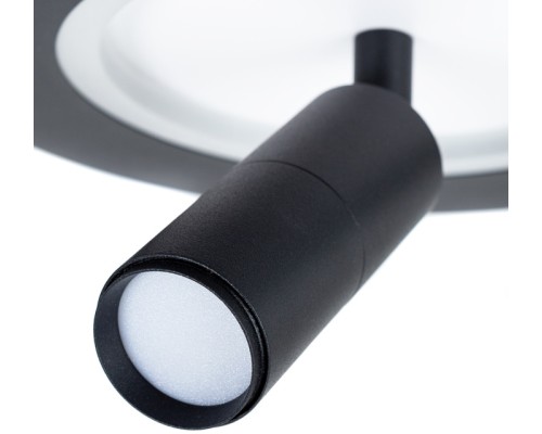 Спот Tommy A2607AP-20BK Arte Lamp