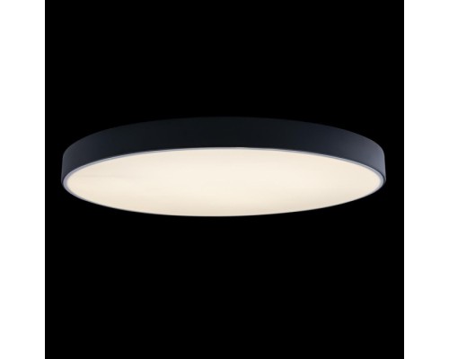 Потолочный светильник Axel 10002/48 Black Loft It