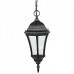 Уличный светильник подвесной  91305S Bl Oasis Light