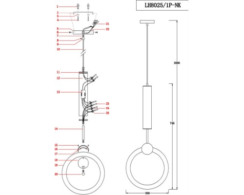 Подвесной светильник Dorian LH8025/1P-NK Lumien Hall