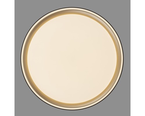 Потолочный светильник Boss CL751251G Citilux