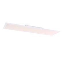 Потолочный светильник Rosi 41604D5RGBSH Globo