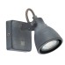 Спот Gotto A9189AP-1GY Arte Lamp