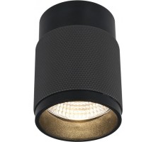 Точечный светильник Delta 1955-10W-3000K-36 BK+GRP iLedex