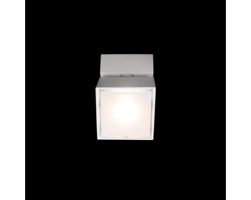 Спот Focus 10323/B White Loft It