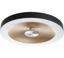 Потолочный светильник Quantum 7753/25L Sonex