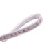 Светодиодная лента LUX DSG3120-12-W-65 DesignLed
